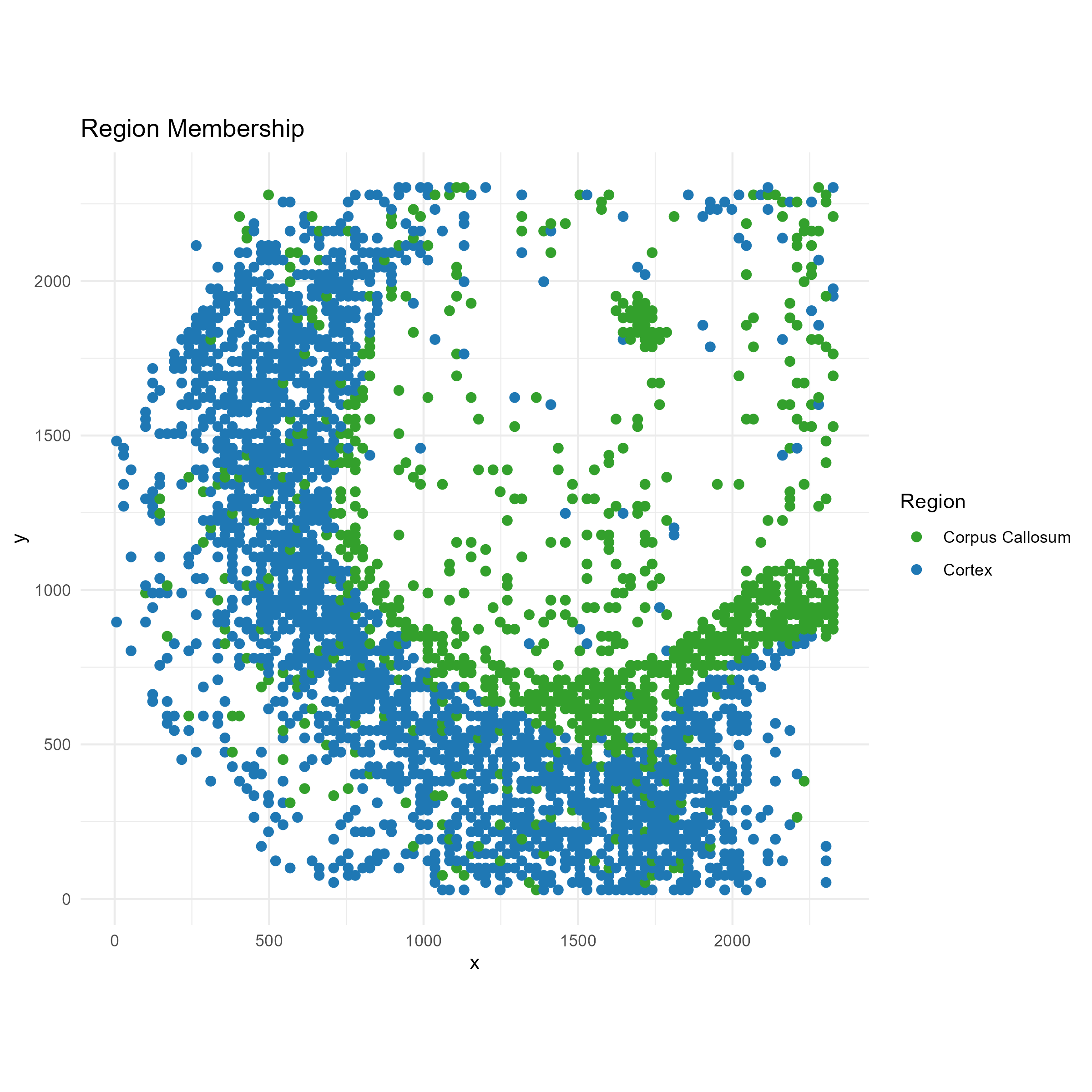 Brain ATAC cortex versus corpuscallosum map