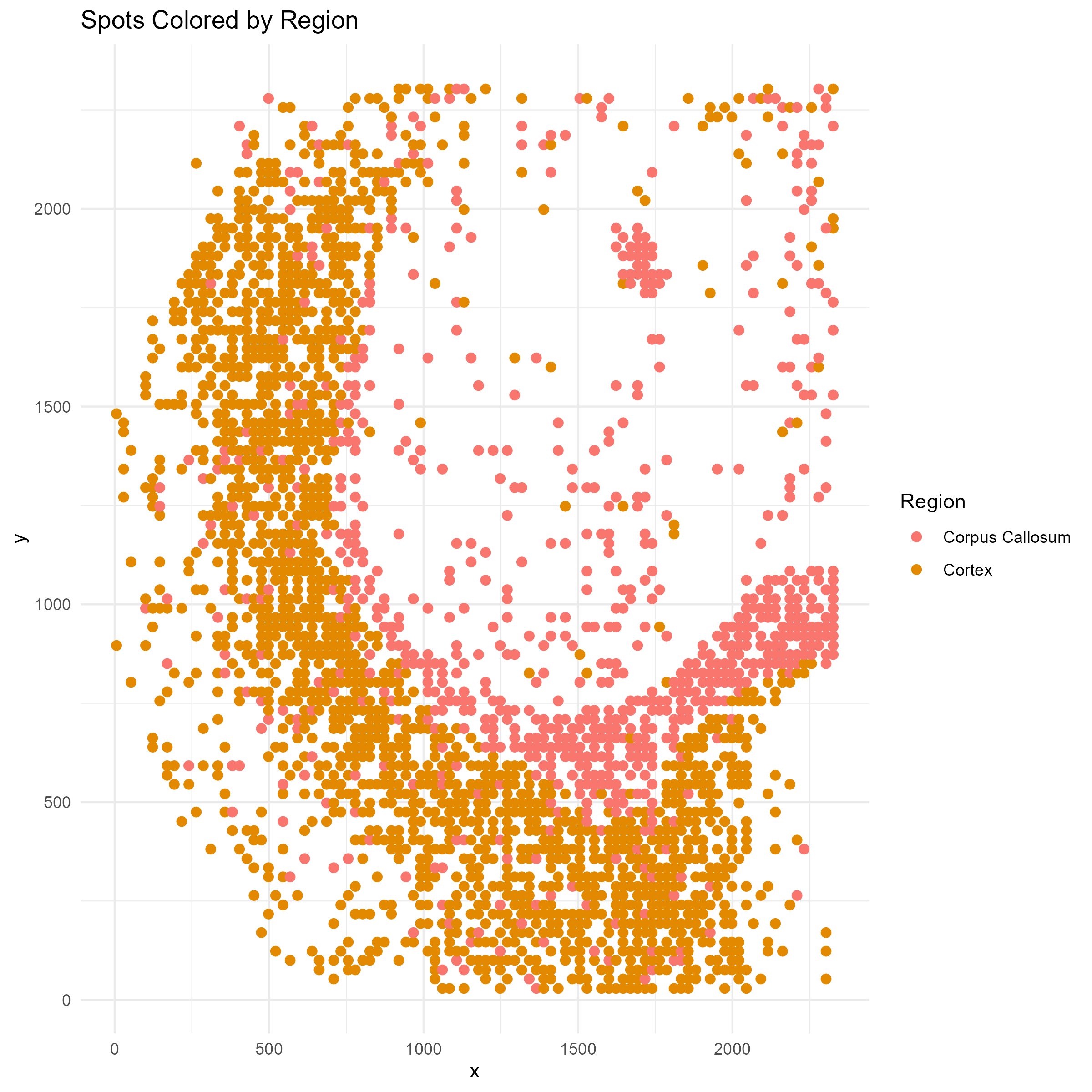Brain ATAC spatial region map