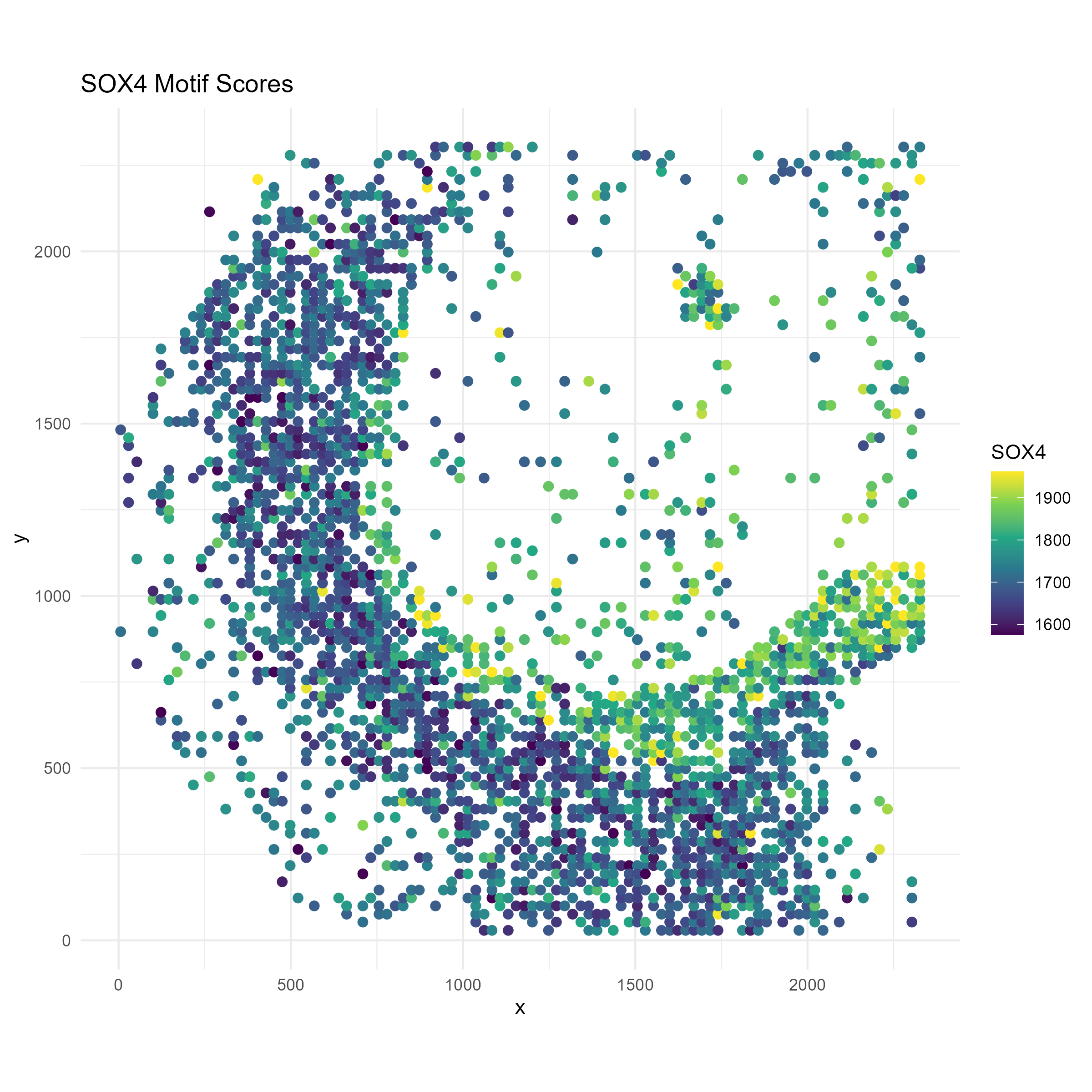 Brain ATAC Sox4 motif map
