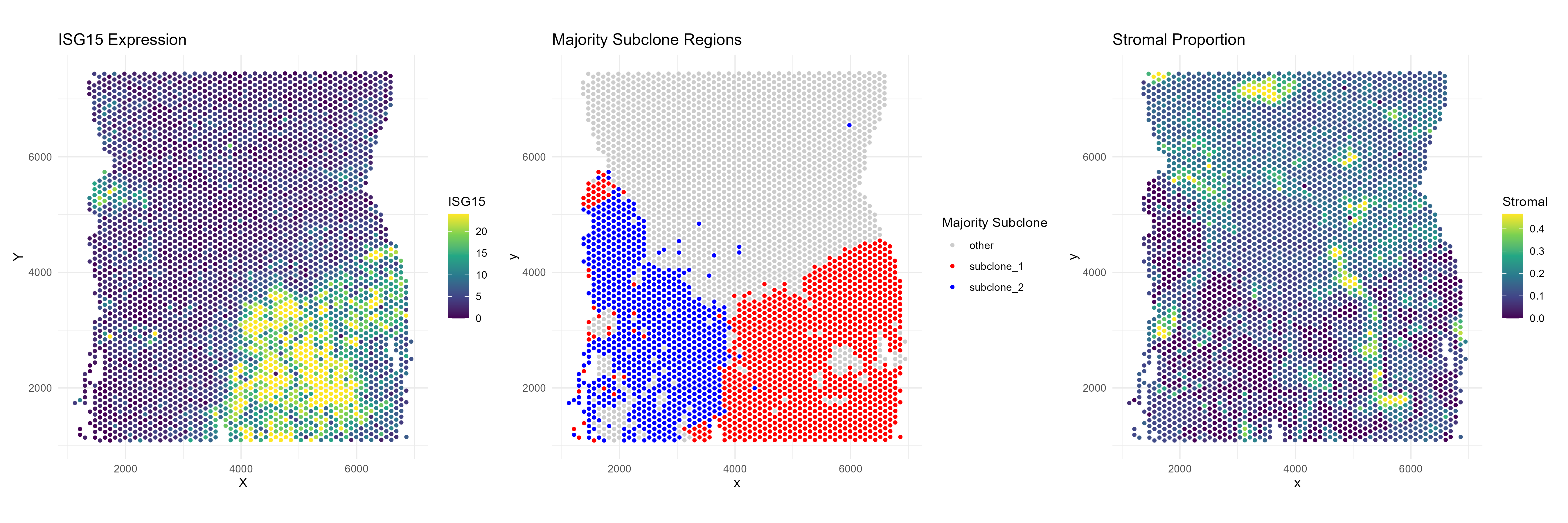 Tumor subclone map