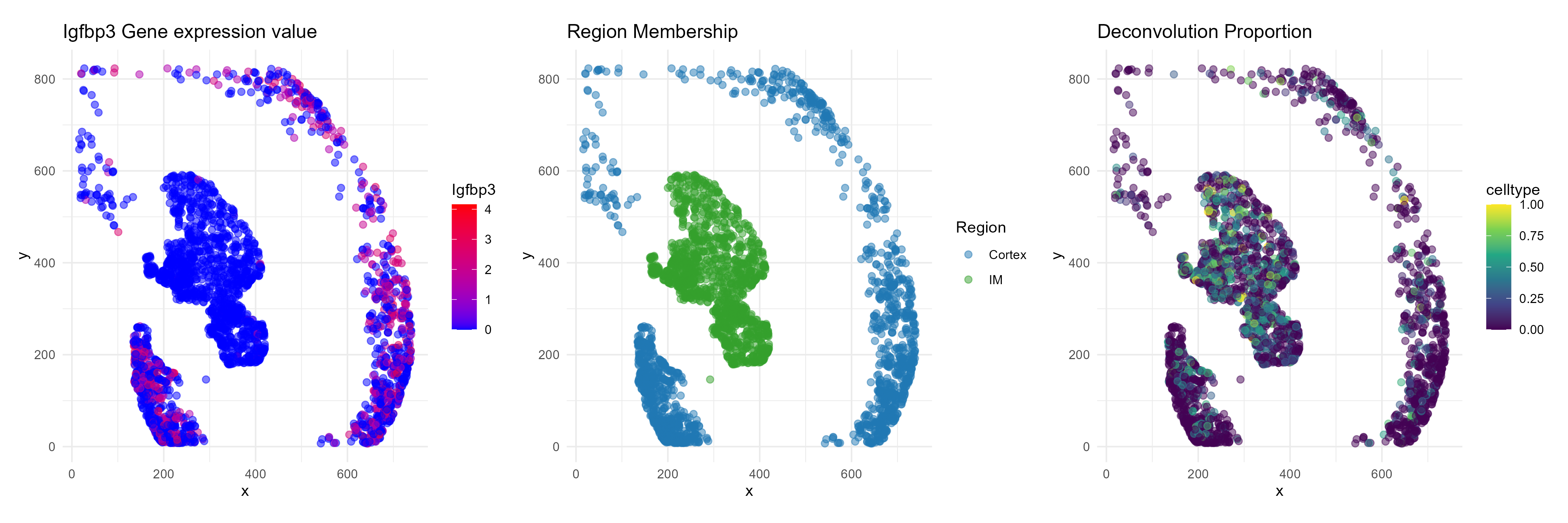 Example gene spatial map