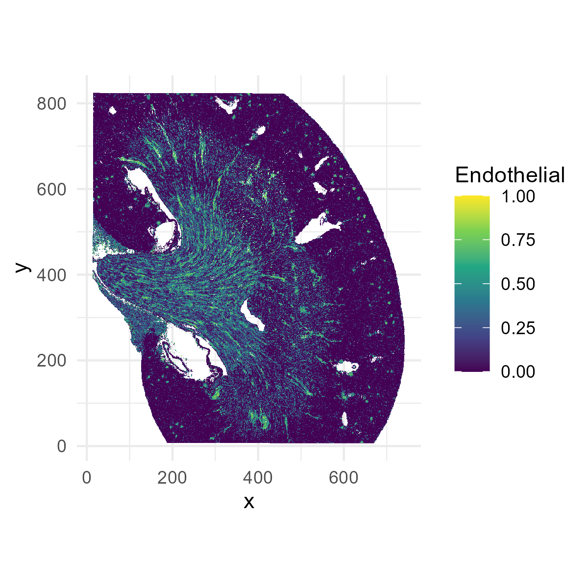 Kidney spatial regions