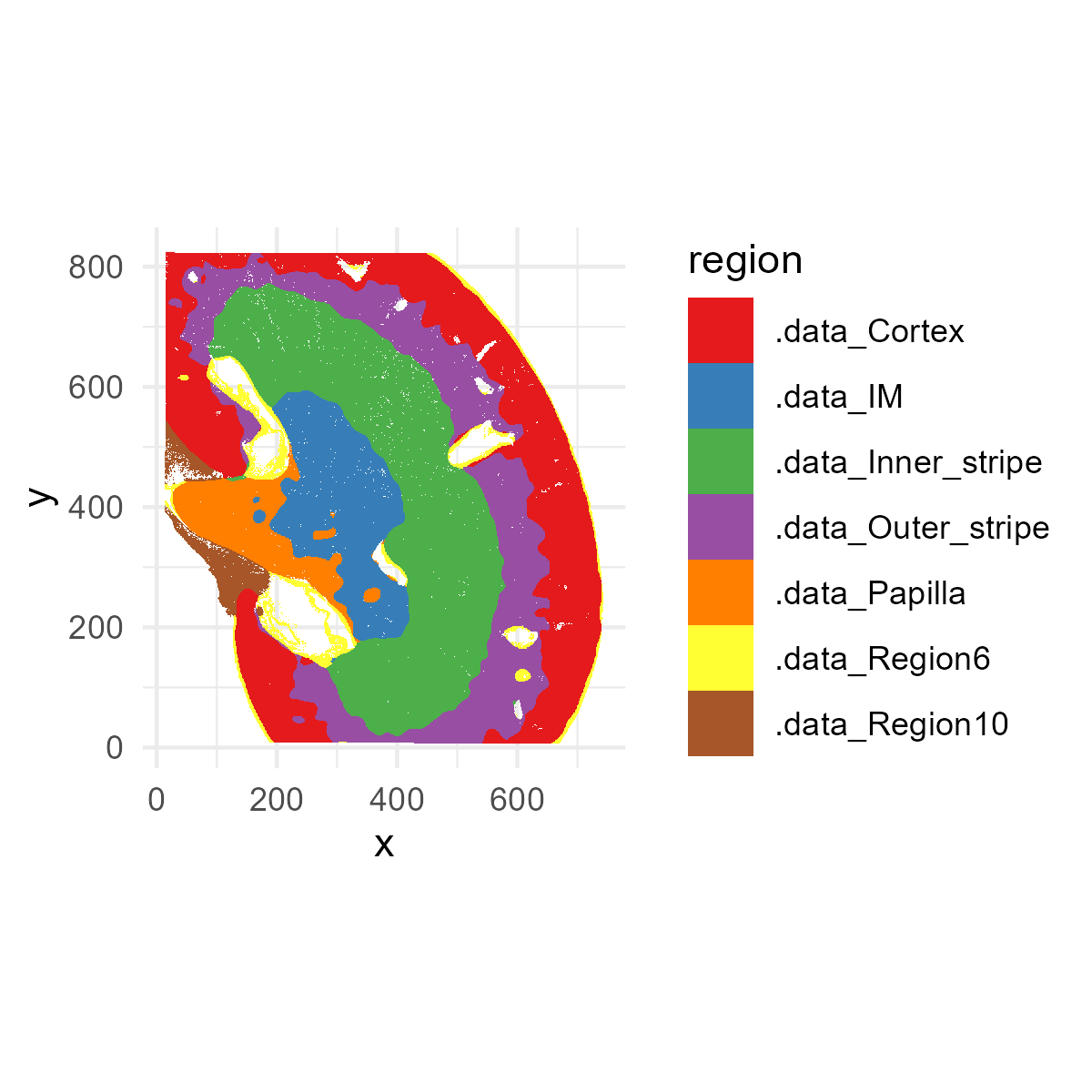 Kidney spatial regions