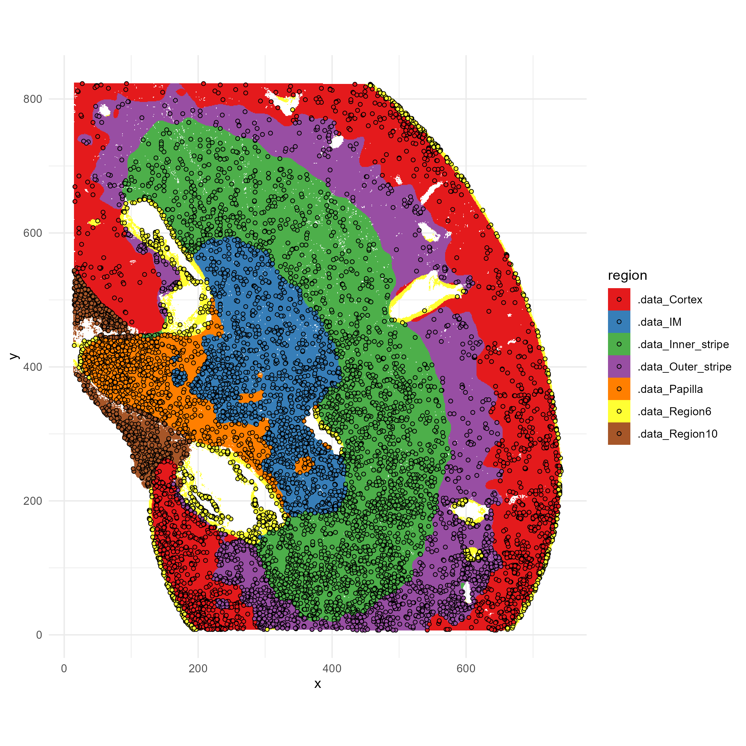 Kidney spatial regions