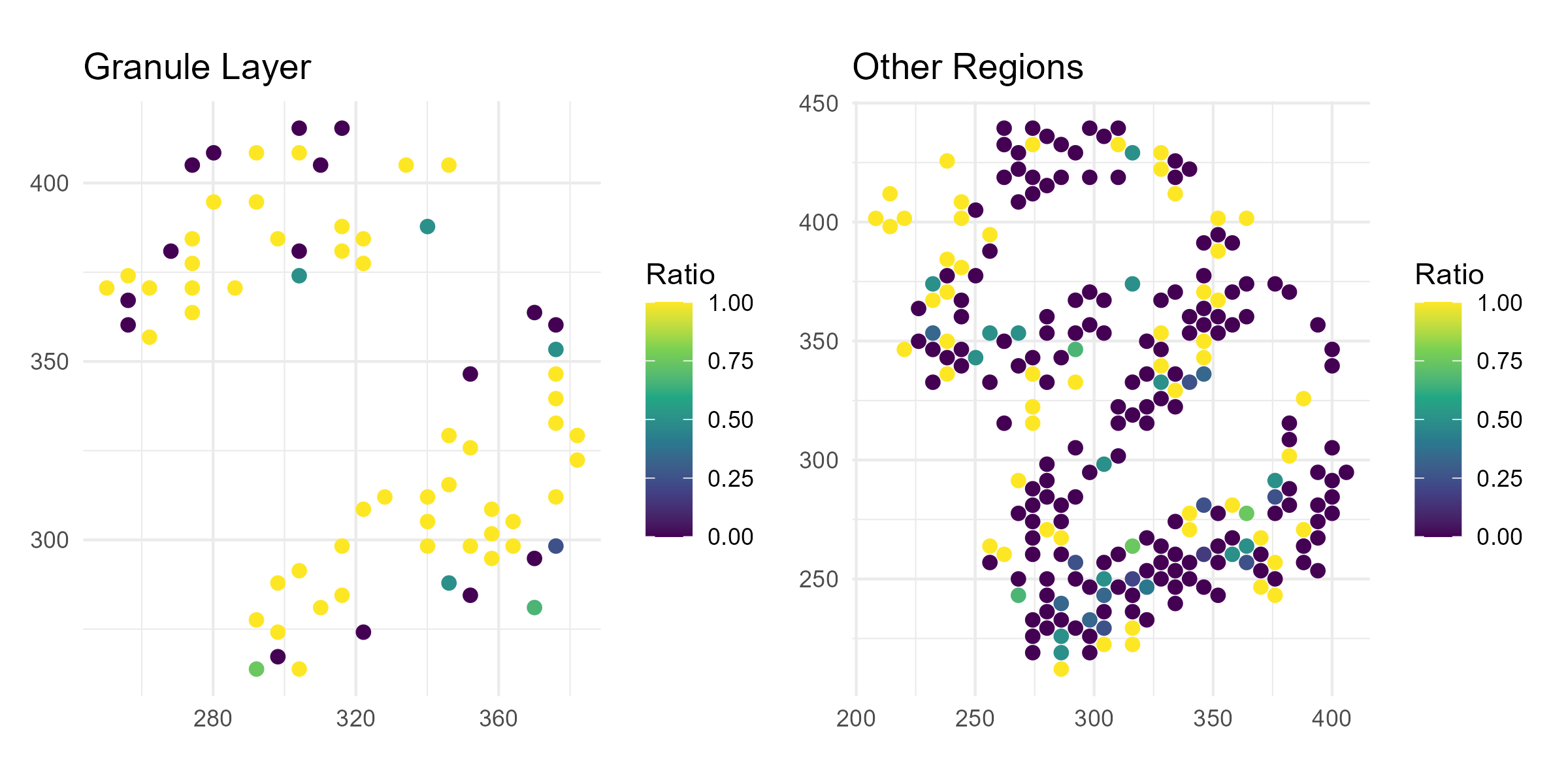 Olfactory bulb Ap3s1 spatial map