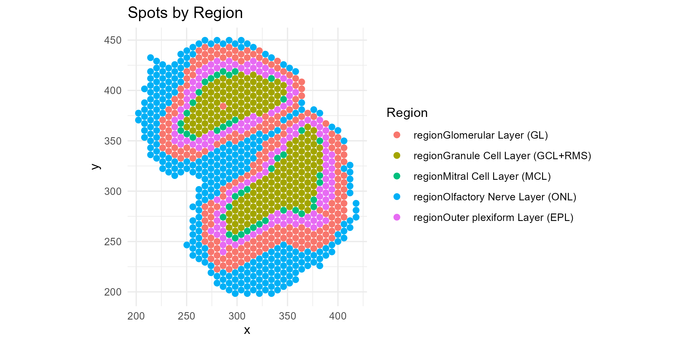 Olfactory bulb spatial map